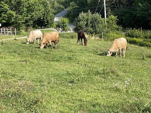 550 Lower Branch Road, Lower Branch, NS 