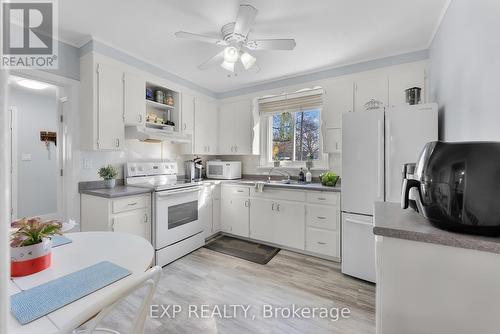6 Hallcrest Avenue, St. Catharines (Vine/Linwell), ON - Indoor Photo Showing Kitchen