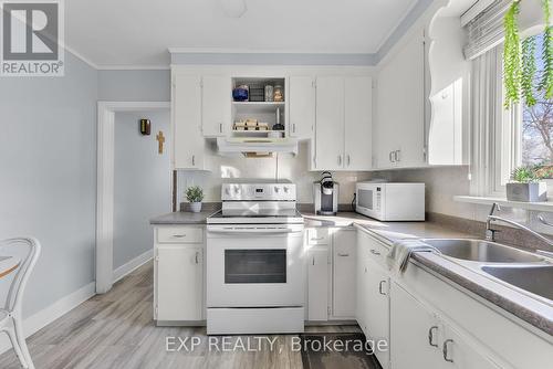 6 Hallcrest Avenue, St. Catharines (Vine/Linwell), ON - Indoor Photo Showing Kitchen With Double Sink