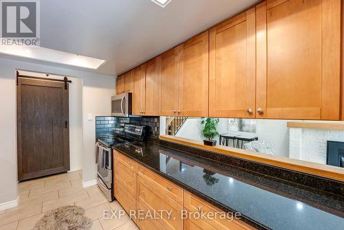 113 Oneida Place, Kitchener, ON - Indoor Photo Showing Kitchen