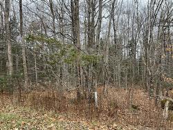Vacant Lot - Hall RD  Lakeside, NB E5N 7G6