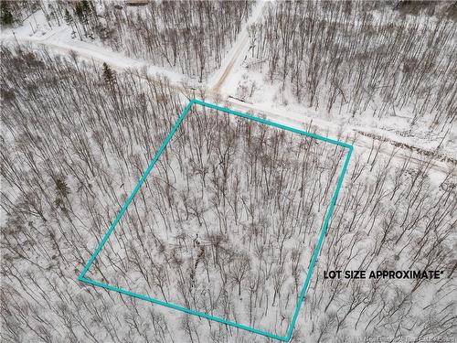 Lot Terrance Wy, Crabbe Mountain, NB 