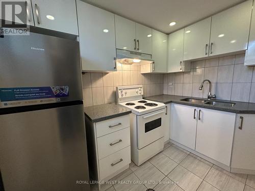 Lower - 1294 Forest Hill, Oakville, ON - Indoor Photo Showing Kitchen With Double Sink