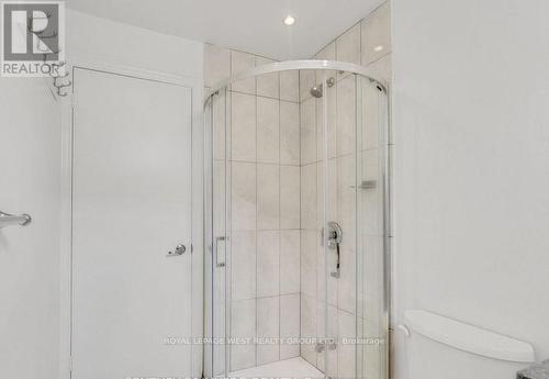 Lower - 1294 Forest Hill, Oakville, ON - Indoor Photo Showing Bathroom