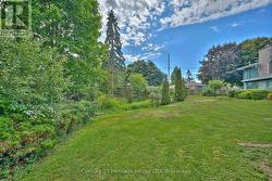 Treelined backyard, with plenty of privacy - 