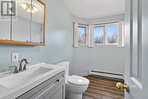 44 Dock Road, Bareneed, NL - Indoor Photo Showing Bathroom
