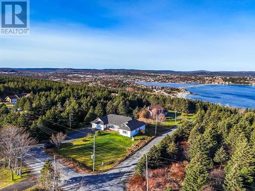 44 Dock Road, Bareneed, NL - Outdoor With Body Of Water With View