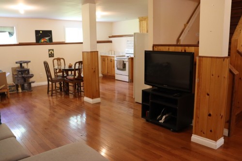 Sous-sol - 128 Route 138A, Godmanchester, QC - Indoor