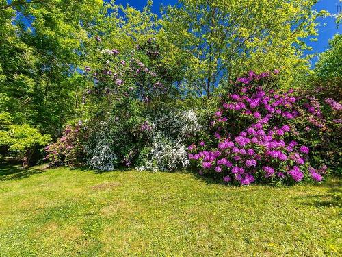 481 Chute Road, Bear River, NS 