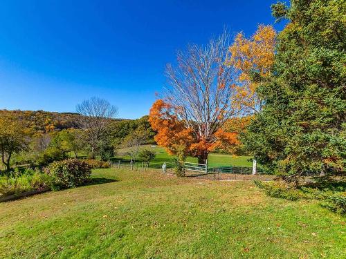 481 Chute Road, Bear River, NS 