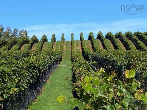 4113 Highway 340, Carleton, NS 