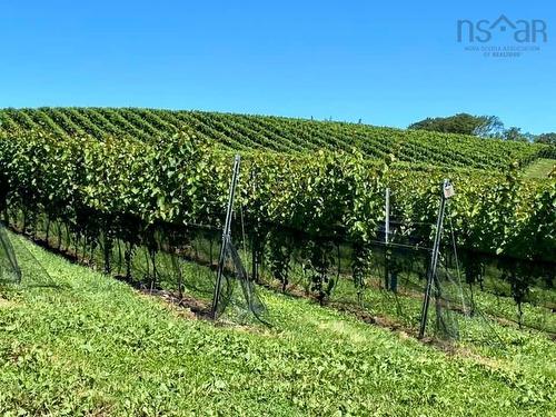 4113 Highway 340, Carleton, NS 