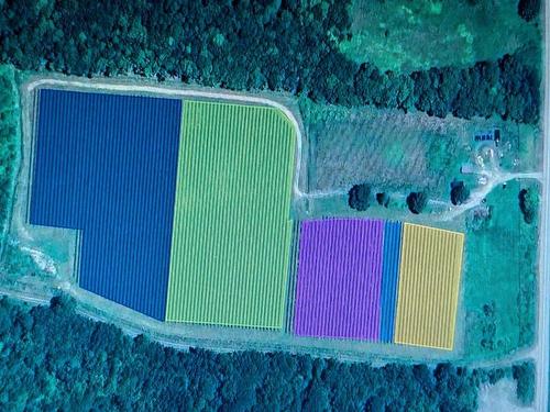 4113 Highway 340, Carleton, NS 