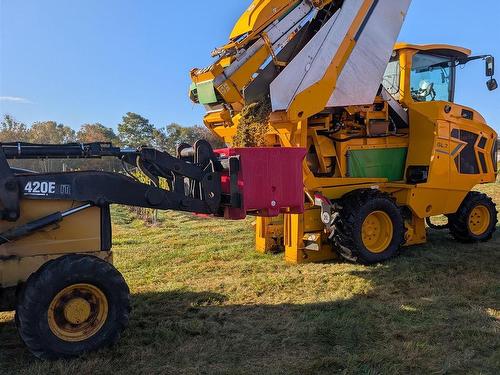 4113 Highway 340, Carleton, NS 