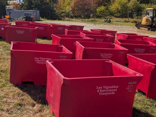 4113 Highway 340, Carleton, NS 