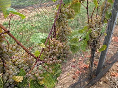 4113 Highway 340, Carleton, NS 