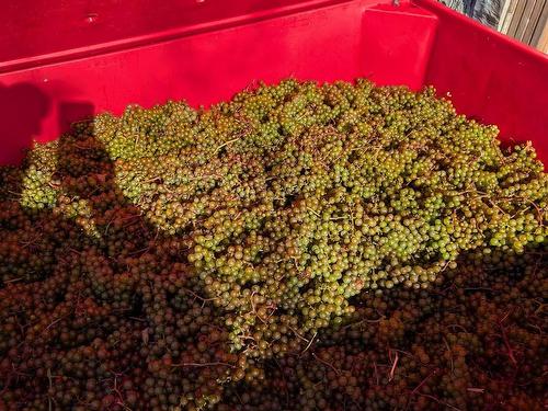 4113 Highway 340, Carleton, NS 