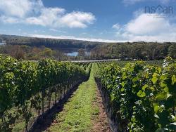 4113 Highway 340  Carleton, NS B5A 5N9