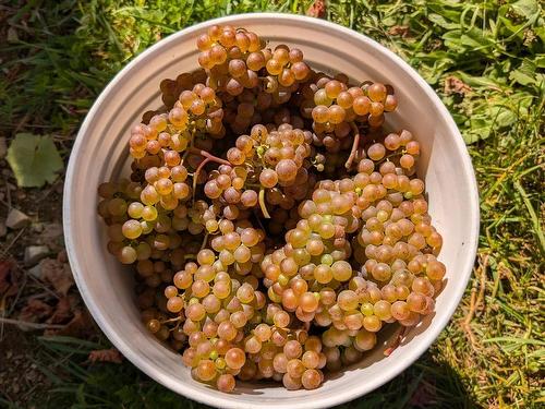 4113 Highway 340, Carleton, NS 