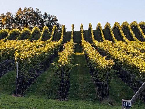 4113 Highway 340, Carleton, NS 