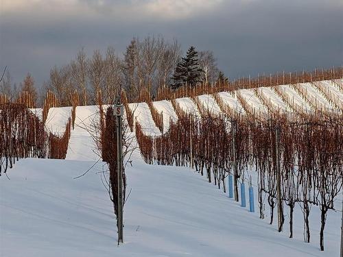 4113 Highway 340, Carleton, NS 