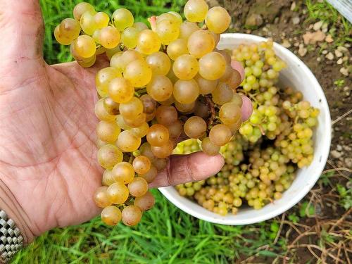 4113 Highway 340, Carleton, NS 