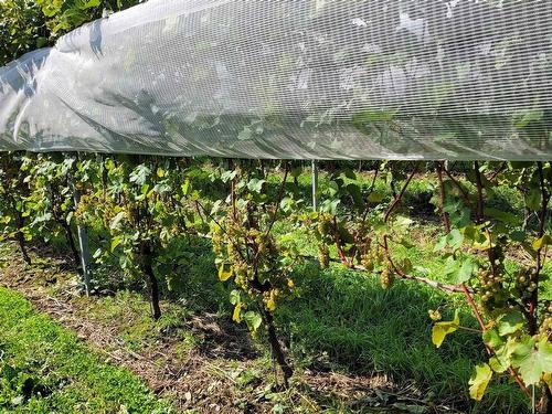 4113 Highway 340, Carleton, NS 