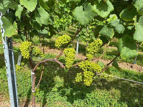 4113 Highway 340, Carleton, NS 