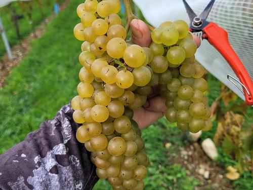 4113 Highway 340, Carleton, NS 