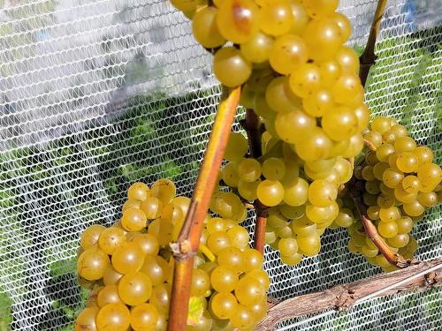 4113 Highway 340, Carleton, NS 