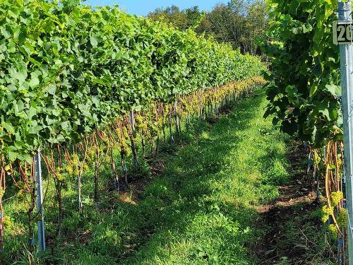 4113 Highway 340, Carleton, NS 