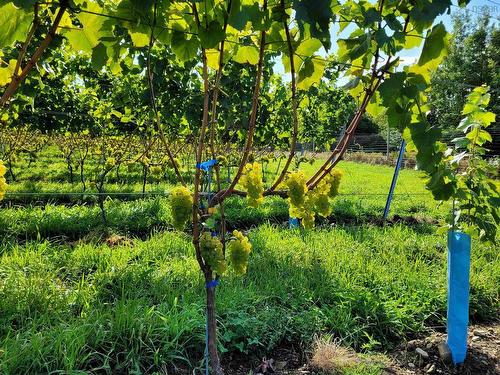 4113 Highway 340, Carleton, NS 