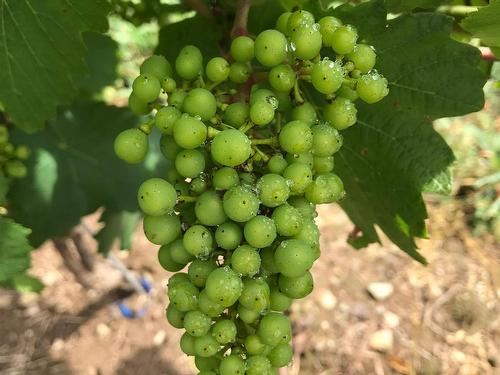 4113 Highway 340, Carleton, NS 