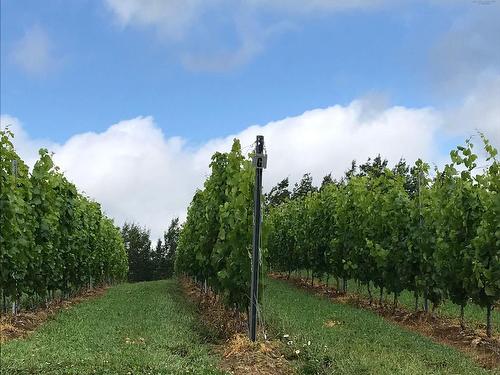 4113 Highway 340, Carleton, NS 