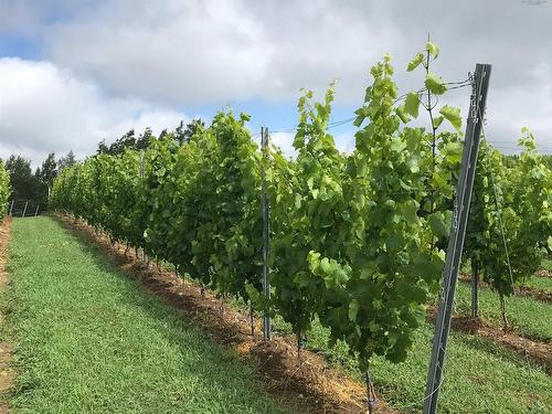 4113 Highway 340, Carleton, NS 