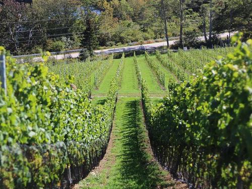 4113 Highway 340, Carleton, NS 