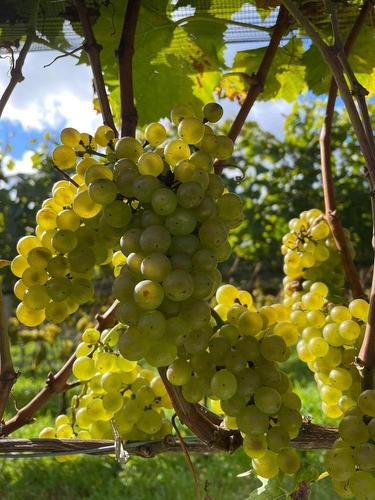 4113 Highway 340, Carleton, NS 