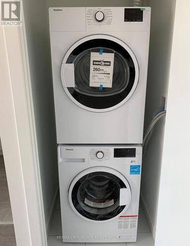 604 - 49 East Liberty Street, Toronto, ON - Indoor Photo Showing Laundry Room