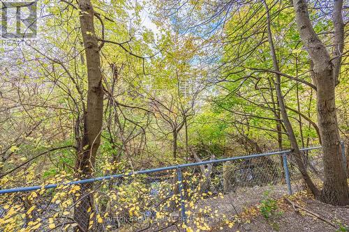 Ravine beside the building for natural greenery - 209 - 2245 Eglinton Avenue E, Toronto, ON - 