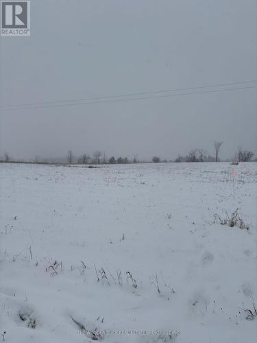 0 Douro Third Line, Douro-Dummer, ON 