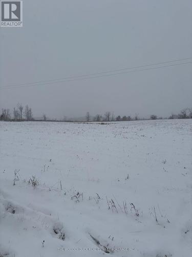 0 Douro Third Line, Douro-Dummer, ON 