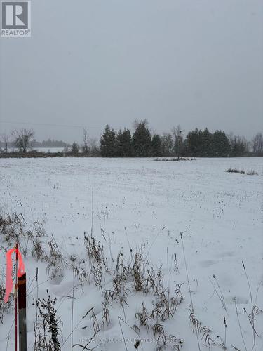 0 Douro Third Line, Douro-Dummer, ON 