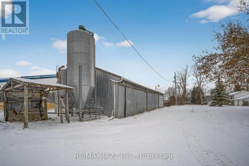 12 ton steel grain bin and 8 ton grain bin. - 1735 County Rd 48, Havelock-Belmont-Methuen (Belmont-Methuen), ON 
