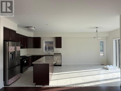 43 Mckernan Avenue, Brantford, ON - Indoor Photo Showing Kitchen With Upgraded Kitchen