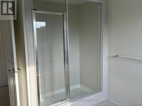 43 Mckernan Avenue, Brantford, ON - Indoor Photo Showing Bathroom