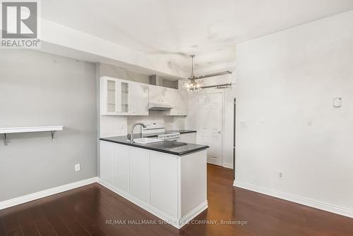 331 - 500 Richmond Street W, Toronto, ON - Indoor Photo Showing Kitchen