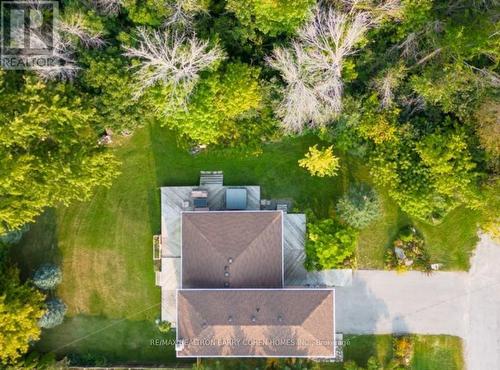 14 Mellon Avenue, Georgina, ON - Outdoor