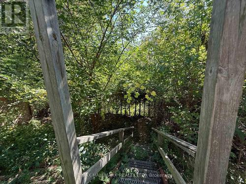 12 Rosette Court, Toronto, ON - Outdoor