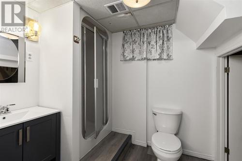 263 Second Lin E, Sault Ste. Marie, ON - Indoor Photo Showing Bathroom
