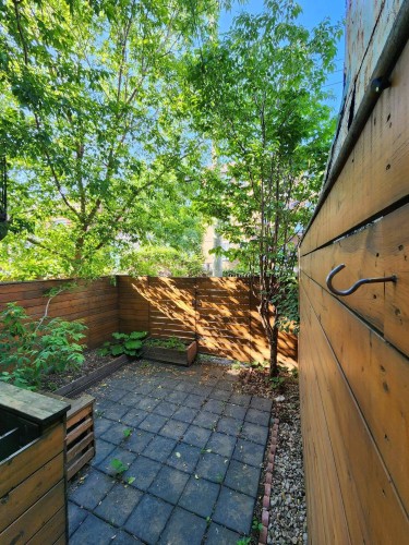 Jardin - 2-7487 Av. Bloomfield, Montréal (Villeray/Saint-Michel/Parc-Extension), QC - Outdoor